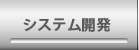 システム開発