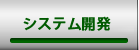 システム開発